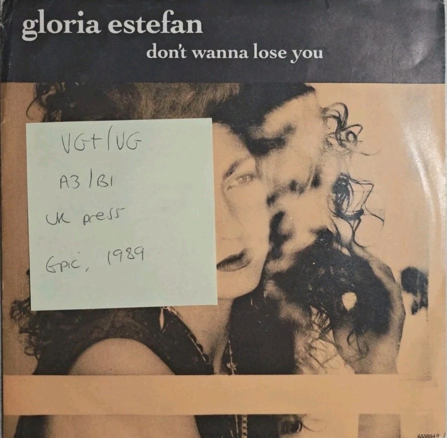 Gloria Estefan Don't Wanna Lose You Vinyl Record 7" VG+/VG 655054 1989 sleeve Gloria Estefan Don't Wanna Lose You Vinyl Record 7" VG+/VG 655054 1989 sleeve