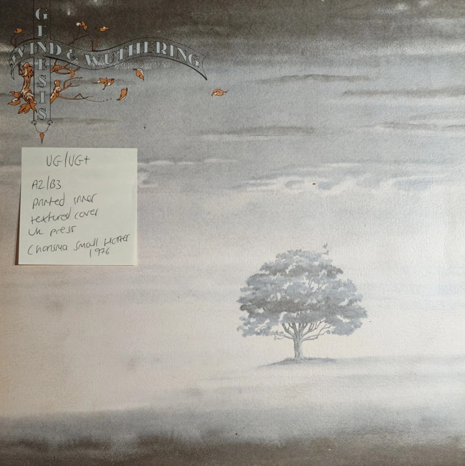 Genesis Wind & Wuthering Vinyl Record LP VG/VG+ CDS 4005 1976 sleeve Genesis Wind & Wuthering Vinyl Record LP VG/VG+ CDS 4005 1976 sleeve
