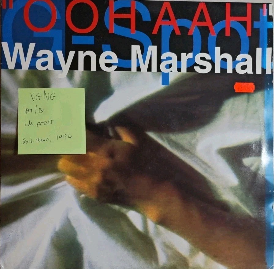 Wayne Marshall Ooh Aah Vinyl Record VG/VG SOUL120032 1994 sleeve Wayne Marshall Ooh Aah Vinyl Record VG/VG SOUL120032 1994 sleeve