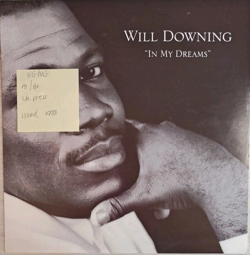 Will Downing In My Dreams Vinyl Record 12" VG/VG 12BRW104 1988 sleeve Will Downing In My Dreams Vinyl Record 12" VG/VG 12BRW104 1988 sleeve