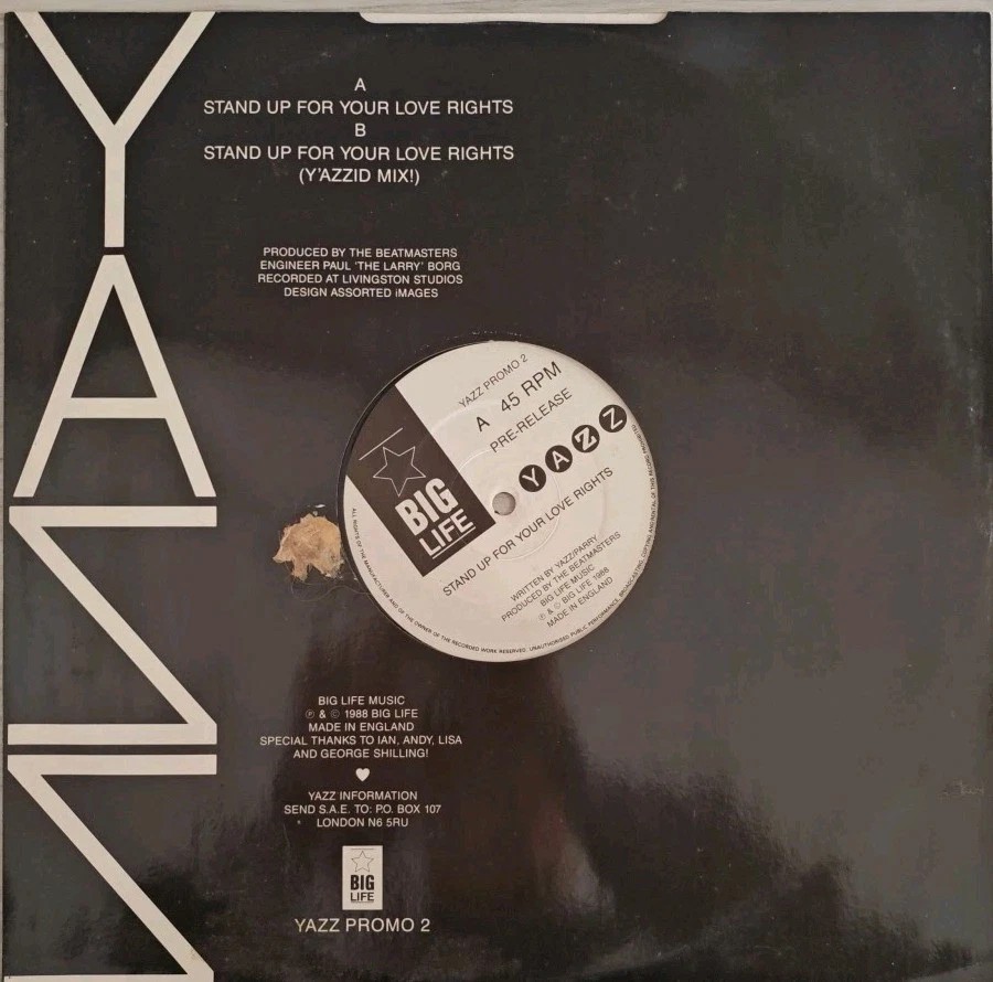 Yazz Stand Up For Your Love Rights Vinyl Record 12" VG/VG YAZZ PROMO2 1988 sleeve Yazz Stand Up For Your Love Rights Vinyl Record 12" VG/VG YAZZ PROMO2 1988 sleeve