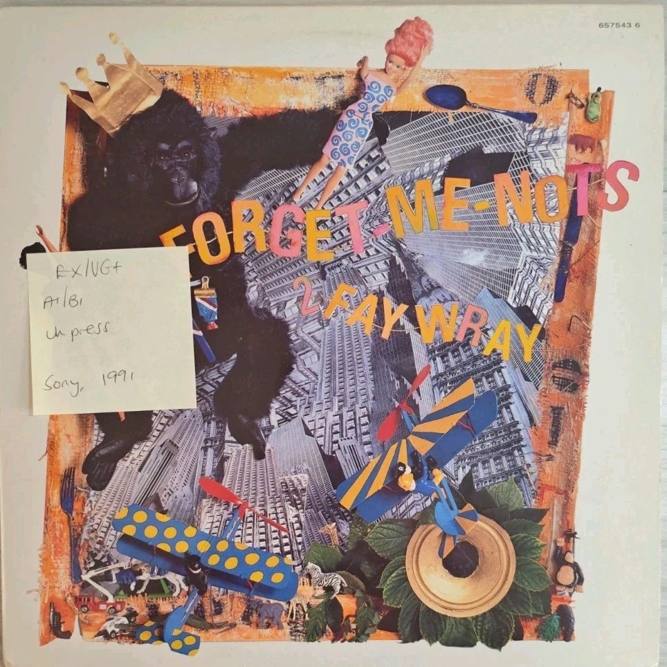 Forget Me Nots 2 Fray Wray Vinyl Record EX/VG+ 65743 1991 sleeve Forget Me Nots 2 Fray Wray Vinyl Record EX/VG+ 65743 1991 sleeve