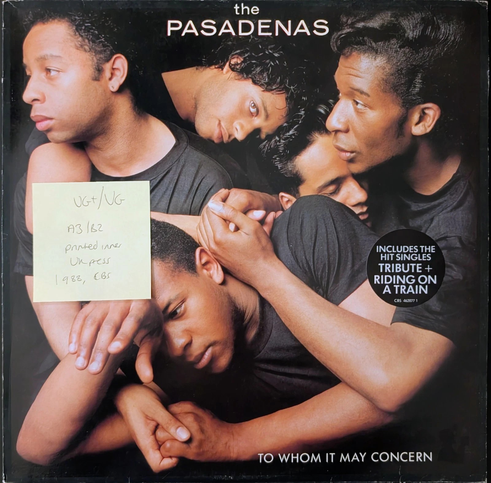 The Pasadenas To Whom It May Concern Vinyl Record LP VG+/VG 4628771 1988 sleeve The Pasadenas To Whom It May Concern Vinyl Record LP VG+/VG 4628771 1988 sleeve