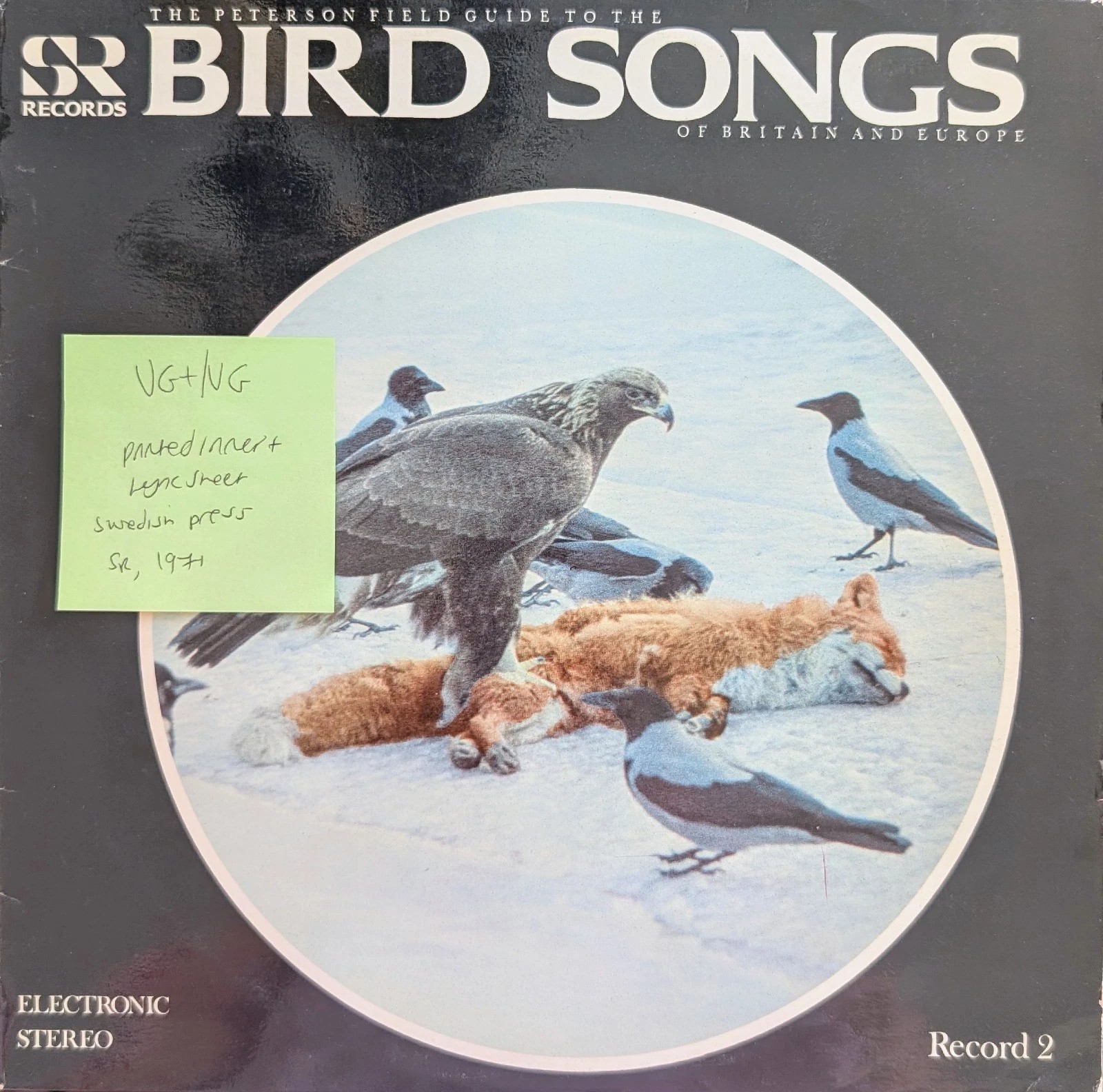 Peterson Field Guide Bird Songs Volume 2 Vinyl Record VG+/VG RFLP5002 1971 sleeve Peterson Field Guide Bird Songs Volume 2 Vinyl Record VG+/VG RFLP5002 1971 sleeve