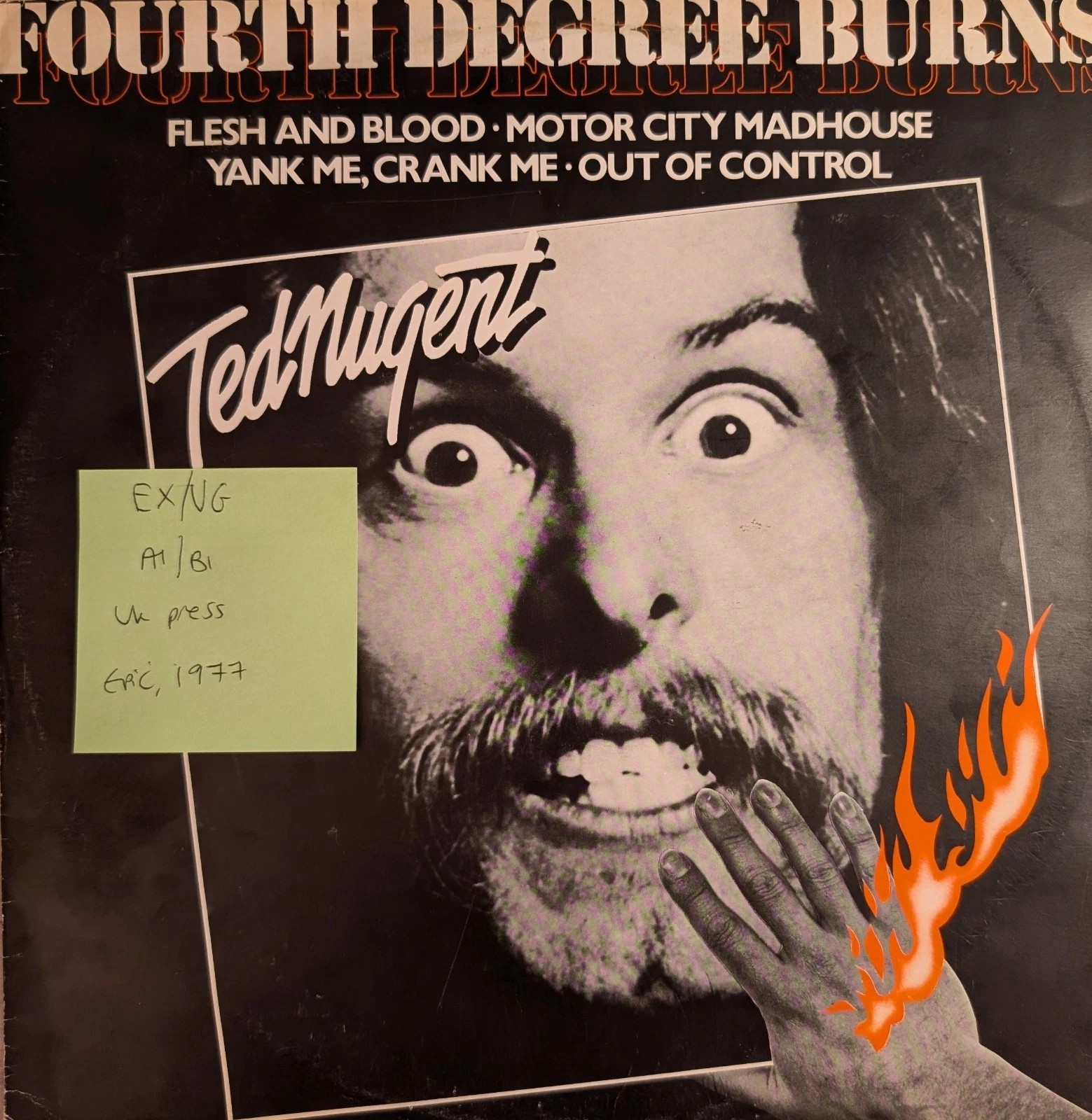 Ted Nugent Fourth Degree Burns Vinyl Record 12" EX/VG 128640 1980 sleeve Ted Nugent Fourth Degree Burns Vinyl Record 12" EX/VG 128640 1980 sleeve