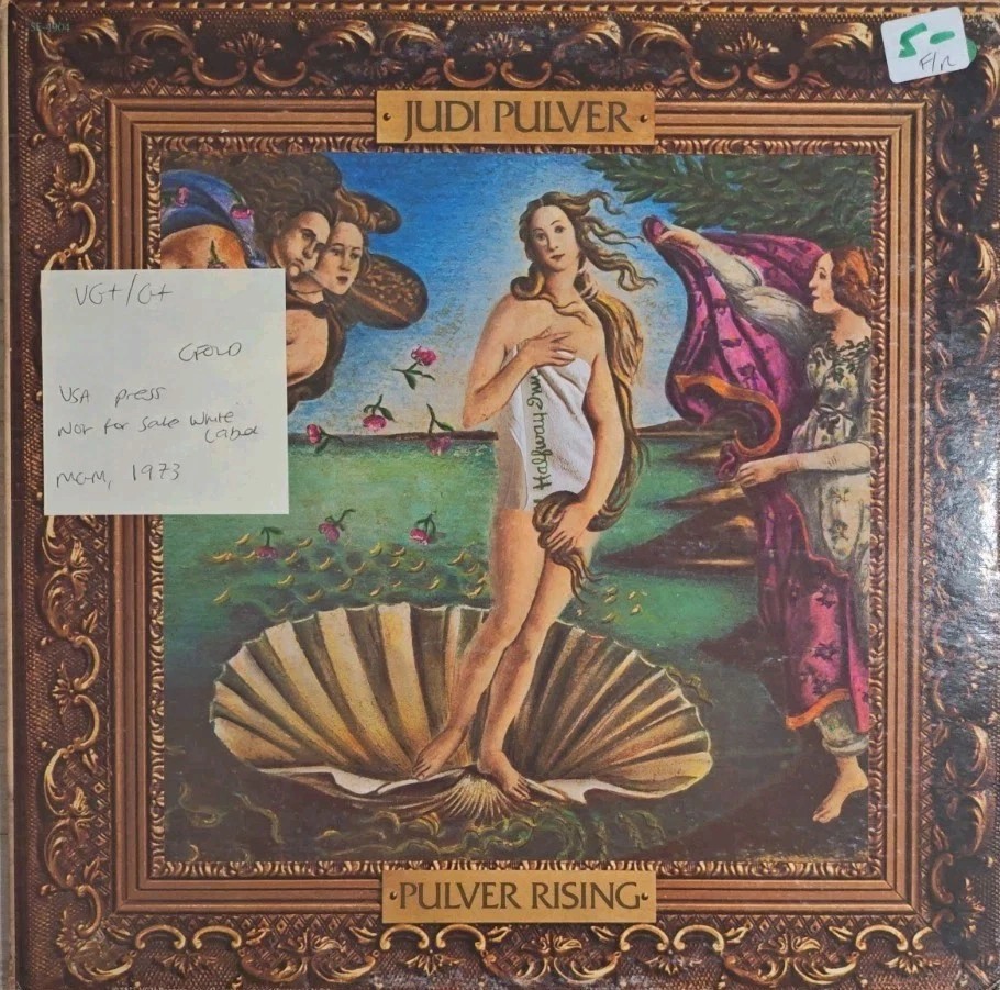 Judi Pulver Pulver Rising Vinyl Record LP VG+/G+ SE4904 1973 sleeve Judi Pulver Pulver Rising Vinyl Record LP VG+/G+ SE4904 1973 sleeve