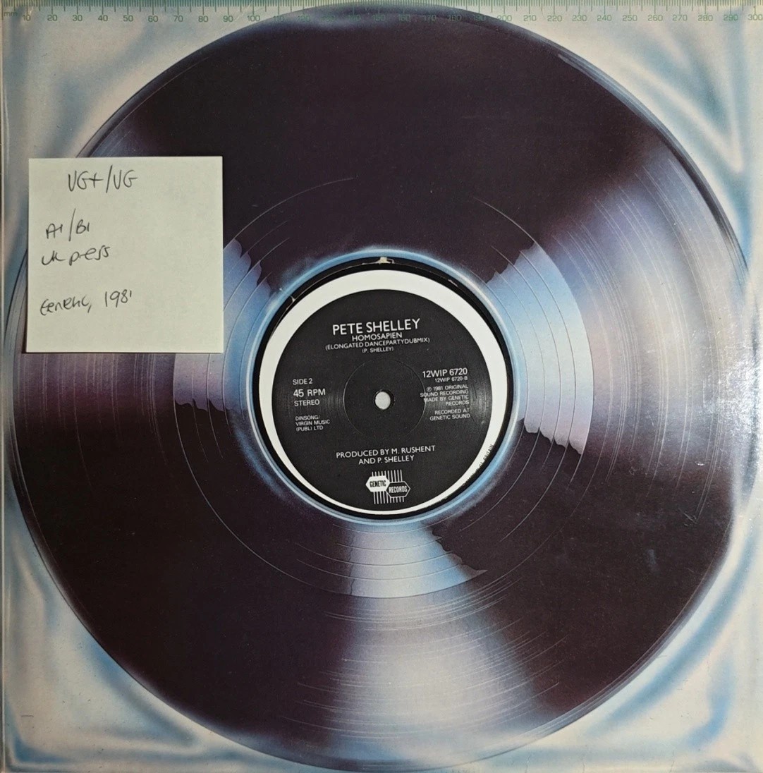 Pete Shelley Homosapien Vinyl Record 12" VG+/VG 12WIP 6720 1981 sleeve Pete Shelley Homosapien Vinyl Record 12" VG+/VG 12WIP 6720 1981 sleeve