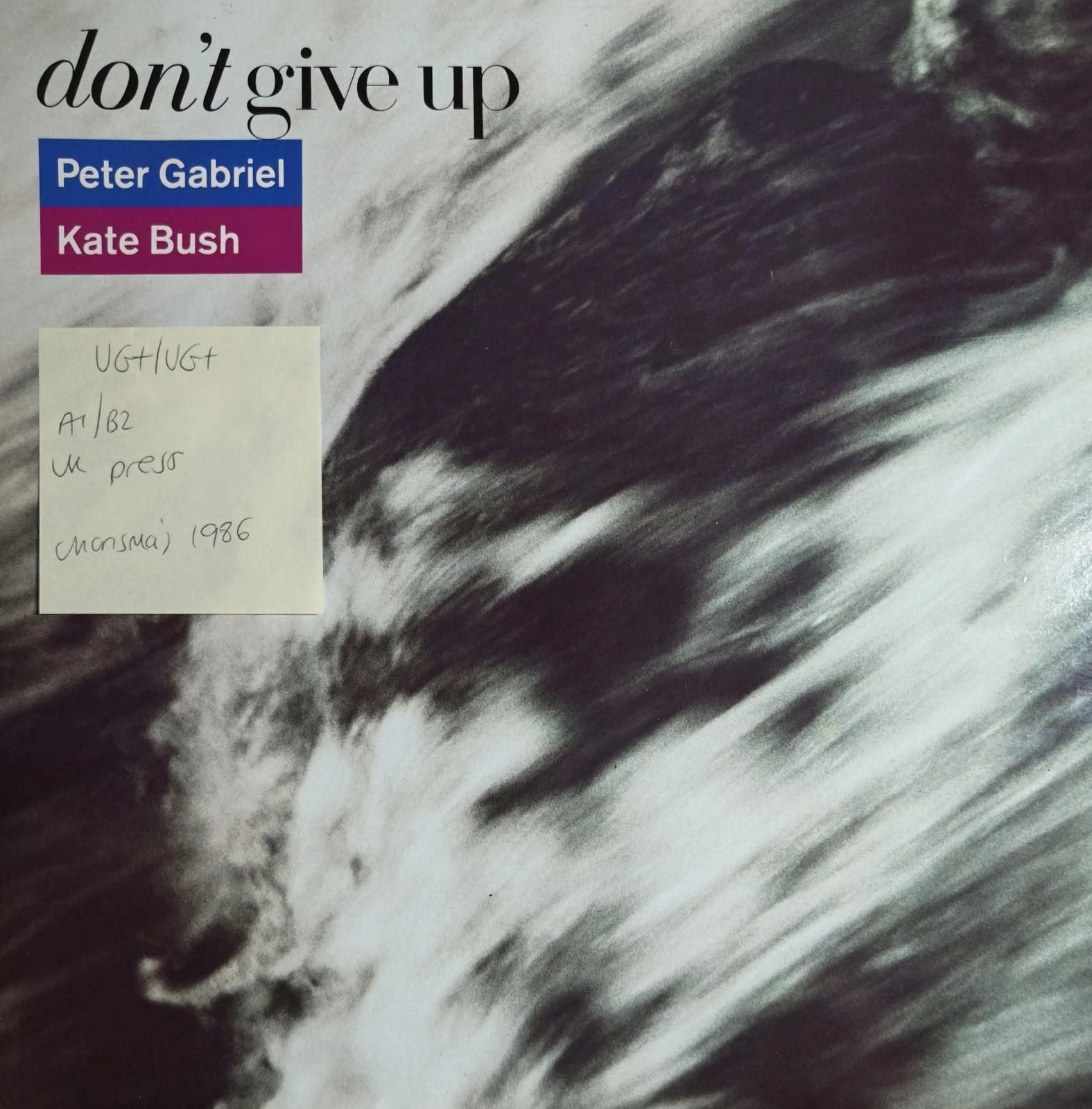 Peter Gabriel & Kate Bush Don't Give Up Vinyl Record 12" VG+/VG+ PGS 212 1986 sleeve Peter Gabriel & Kate Bush Don't Give Up Vinyl Record 12" VG+/VG+ PGS 212 1986 sleeve