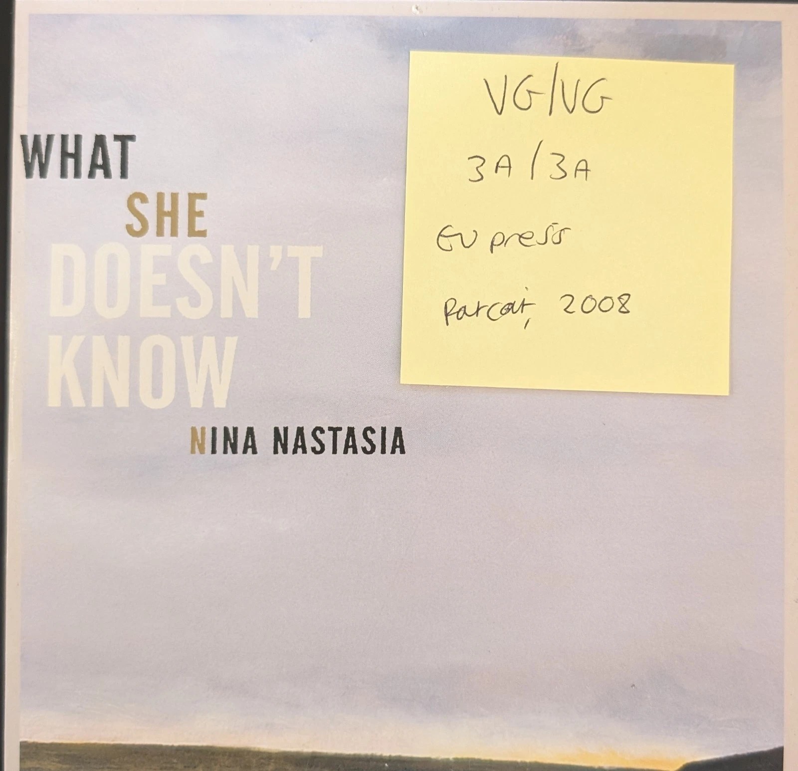 Nina Nastasia What She Doesn't Know Vinyl Record 7" VG/VG 2008 sleeve Nina Nastasia What She Doesn't Know Vinyl Record 7" VG/VG 2008 sleeve