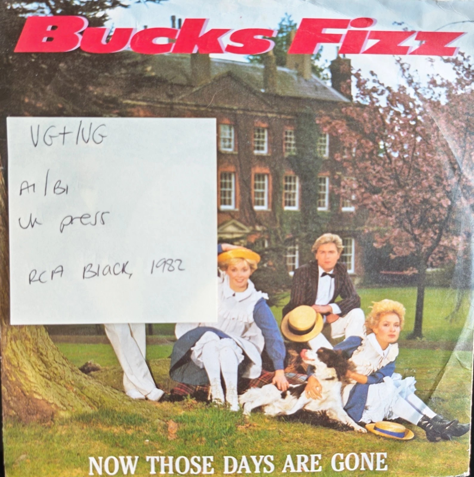 Bucks Fizz Now Those Days Are Gone Vinyl Record 7" VG+/VG RCA 241 1982 sleeve Bucks Fizz Now Those Days Are Gone Vinyl Record 7" VG+/VG RCA 241 1982 sleeve