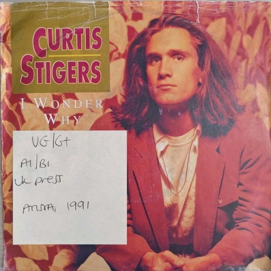 Curtis Stigers I Wonder Why Vinyl Record 7" VG/G+ 114716 1991 sleeve Curtis Stigers I Wonder Why Vinyl Record 7" VG/G+ 114716 1991 sleeve