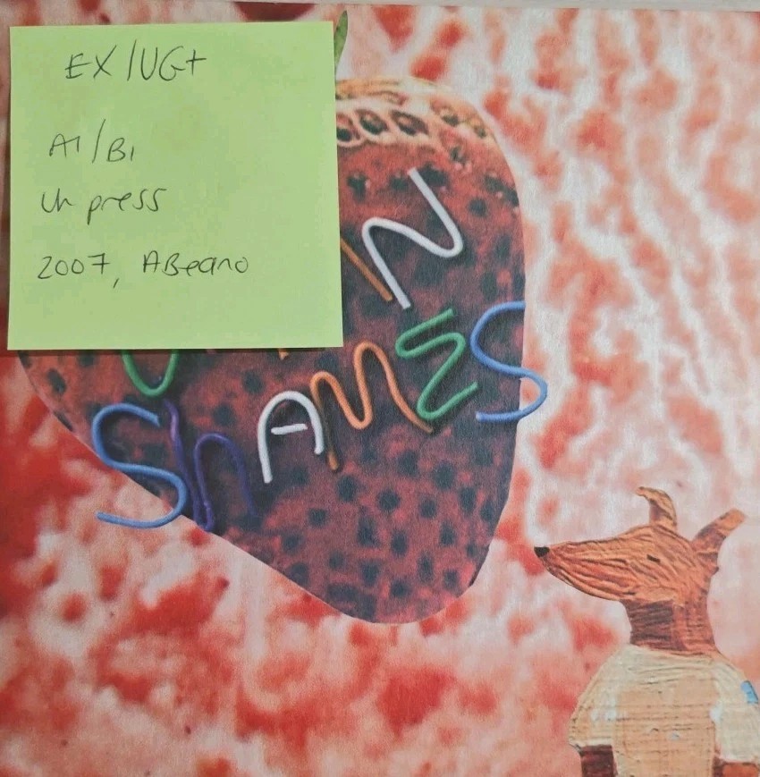 Damn Shames Fear Of Assault Vinyl Record 7" EX/VG+ 2007 sleeve Damn Shames Fear Of Assault Vinyl Record 7" EX/VG+ 2007 sleeve