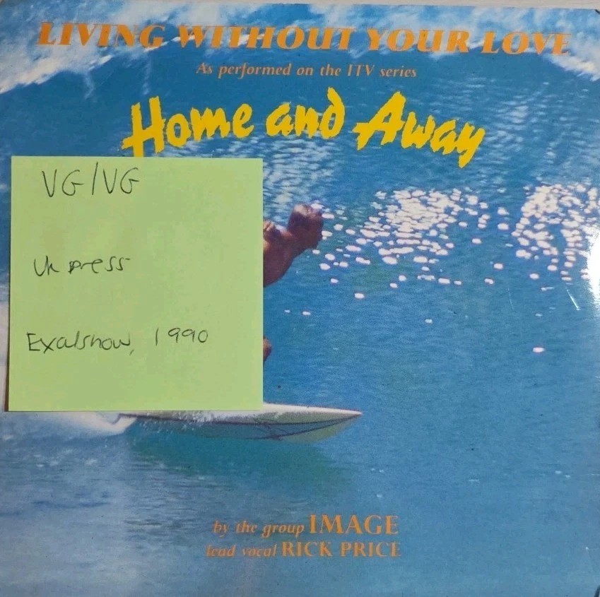 Image & Rick Price Living Without Your Love Vinyl Record 7" VG/VG SCORE25 1990 sleeve Image & Rick Price Living Without Your Love Vinyl Record 7" VG/VG SCORE25 1990 sleeve