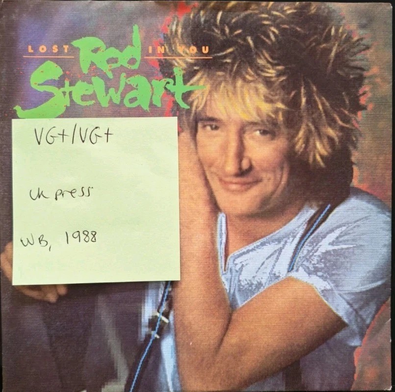 Rod Stewart Lost In You Vinyl Record 7" VG+/VG+ W 7927 1988 sleeve Rod Stewart Lost In You Vinyl Record 7" VG+/VG+ W 7927 1988 sleeve