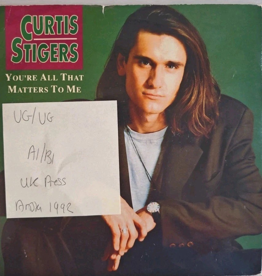 Curtis Stigers You're All That Matters To Me Vinyl Record 7" VG/VG 115273 sleeve Curtis Stigers You're All That Matters To Me Vinyl Record 7" VG/VG 115273 sleeve