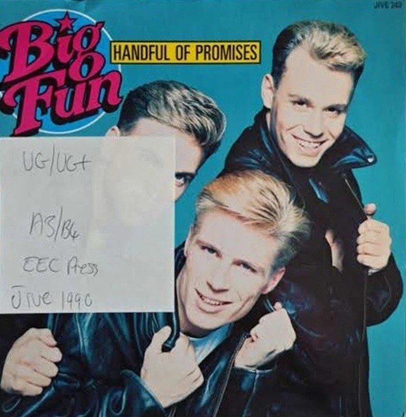 Big Fun Handful Of Promises Vinyl Record 7" VG/VG+ JIVE 243 1990 vinyl record sleeve Big Fun Handful Of Promises Vinyl Record 7" VG/VG+ JIVE 243 1990 vinyl record sleeve