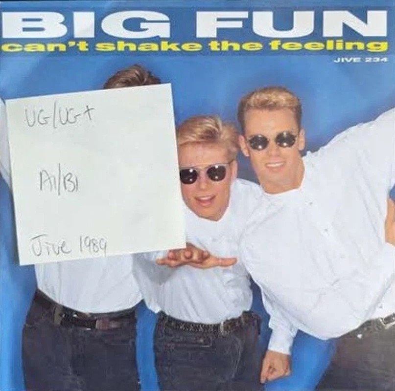 Big Fun Can't Shake The Feeling Vinyl Record 7" VG/VG+ JIVE 234 1989 vinyl record sleeve Big Fun Can't Shake The Feeling Vinyl Record 7" VG/VG+ JIVE 234 1989 vinyl record sleeve