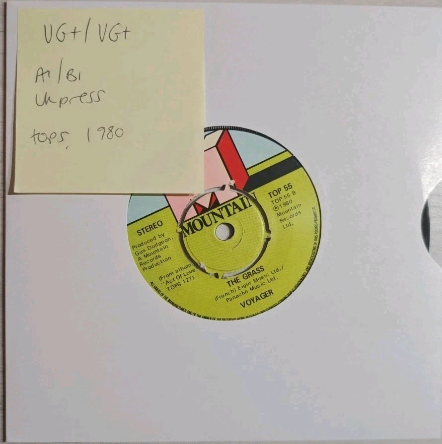 Voyager The Glass Vinyl Record 7" VG+/VG TOP55 1980 sleeve Voyager The Glass Vinyl Record 7" VG+/VG TOP55 1980 sleeve