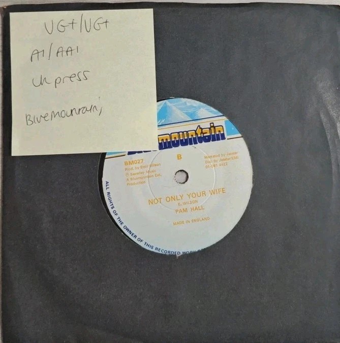 Pam Hall Dear Boopsie Vinyl Record 7" VG+/VG+ BM027 1986 sleeve Pam Hall Dear Boopsie Vinyl Record 7" VG+/VG+ BM027 1986 sleeve