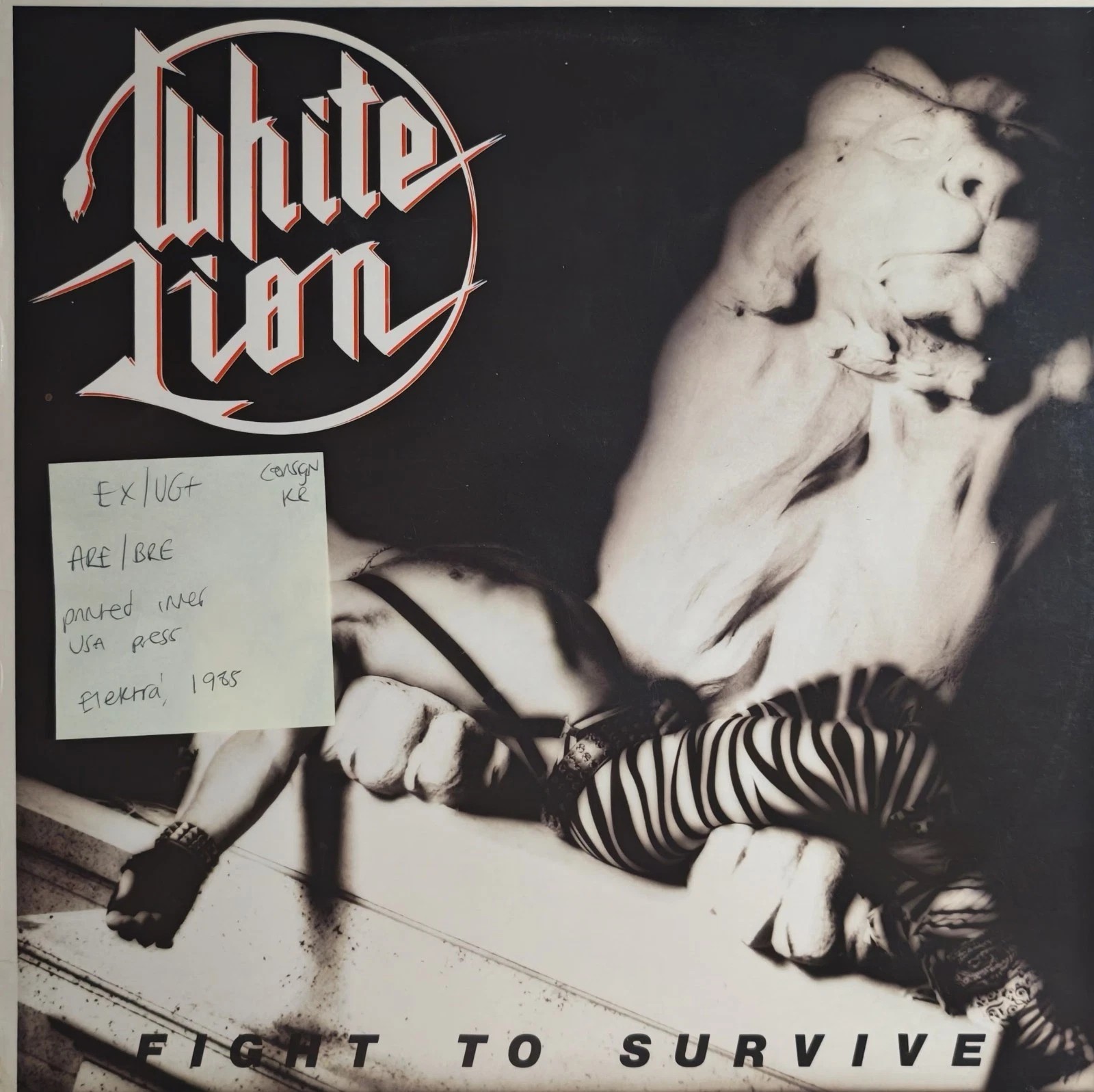 White Lion Fight To Survive Vinyl Record LP EX/VG+ SLAM1 vinyl record sleeve White Lion Fight To Survive Vinyl Record LP EX/VG+ SLAM1 vinyl record sleeve