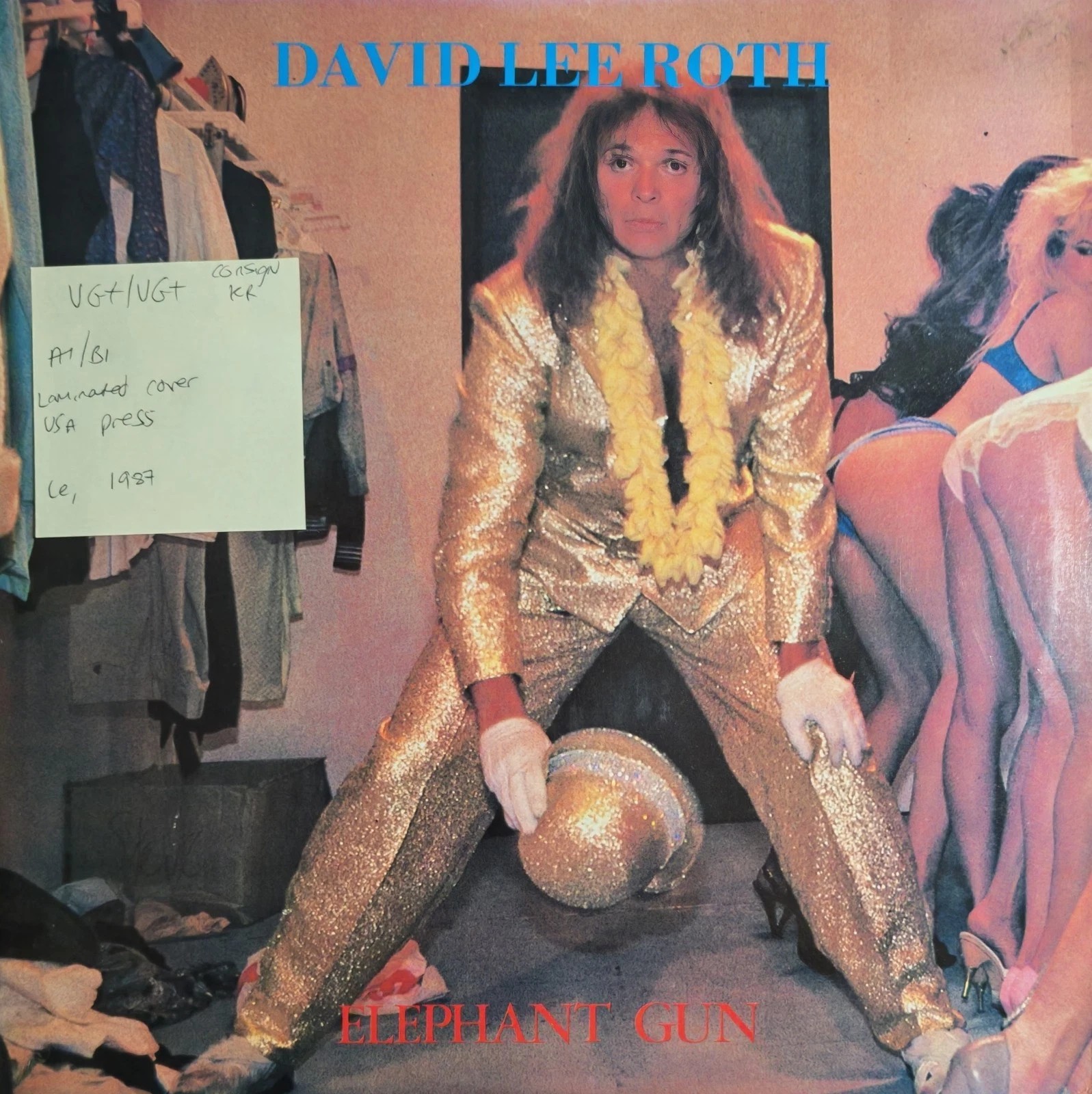 David Lee Roth Elephant Gun Vinyl Record LP VG+/VG+ 21197-1 1987 vinyl record sleeve David Lee Roth Elephant Gun Vinyl Record LP VG+/VG+ 21197-1 1987 vinyl record sleeve