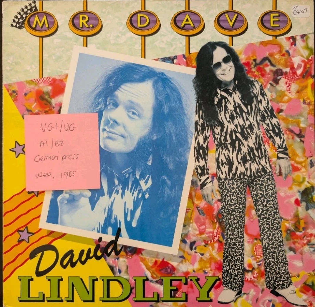 David Lindley Mr Dave Vinyl Record LP VG+/VG 252161 1985 vinyl record sleeve David Lindley Mr Dave Vinyl Record LP VG+/VG 252161 1985 vinyl record sleeve
