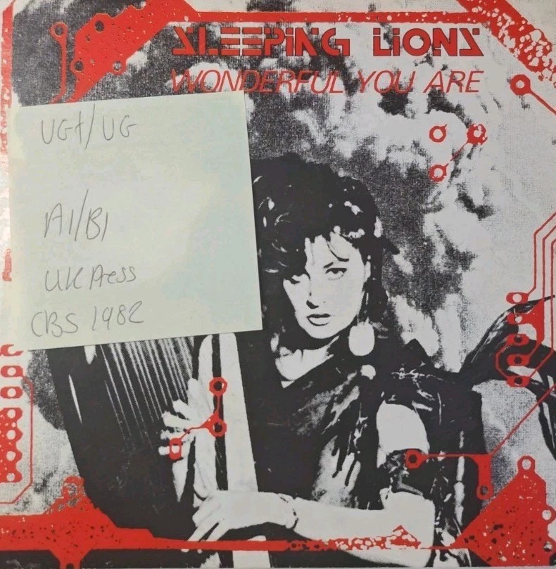 Sleeping Lions Wonderful You Are Vinyl Record VG+/VG CBSA2815 1982 vinyl record sleeve Sleeping Lions Wonderful You Are Vinyl Record VG+/VG CBSA2815 1982 vinyl record sleeve
